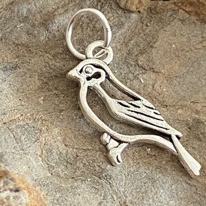 5/$10❤️❤️❤️NEW Tibetan Silver Bird Charm Pendant